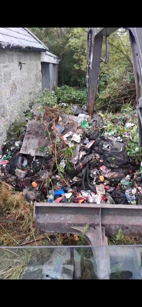 clearing rubbish in back garden